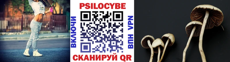 где можно купить наркотик  Батайск  Псилоцибиновые грибы Psilocybe 