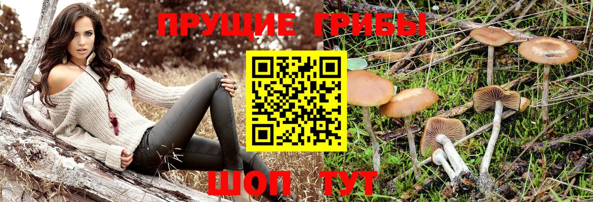 Псилоцибиновые грибы Magic Shrooms  Галлюциногенные грибы Cubensis  где найти наркотики  Батайск  Вход с VPN 