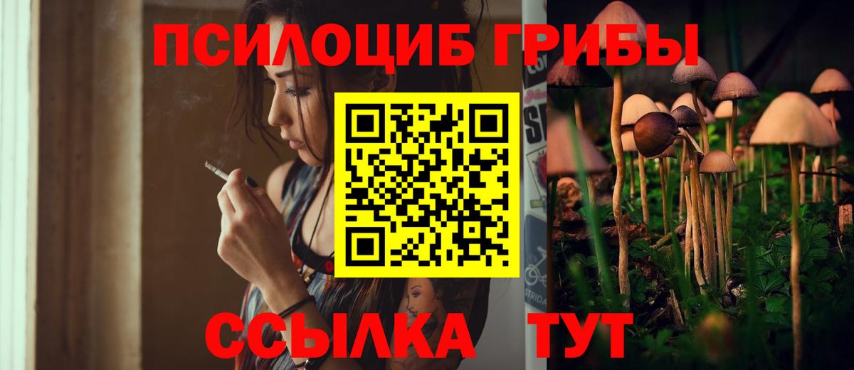 Галлюциногенные грибы Cubensis Батайск